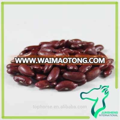 Dry Red Kidney Beans Price