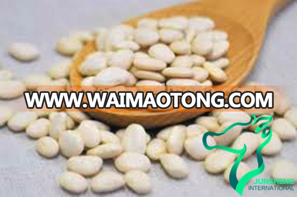 Wholesale Dry Lima Beans Size 50-60 For Export / Large White Kideny Bean Origin in China